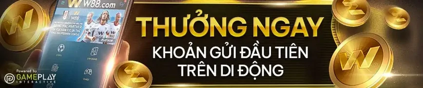 Hướng dẫn kiểm tra thông tin Nohu